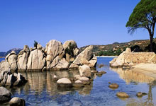 milan app-关于今夜体能课后，托特纳姆调整名单备战NBA季后赛，悬念犹存，赛季目标并未改变的信息-milan app